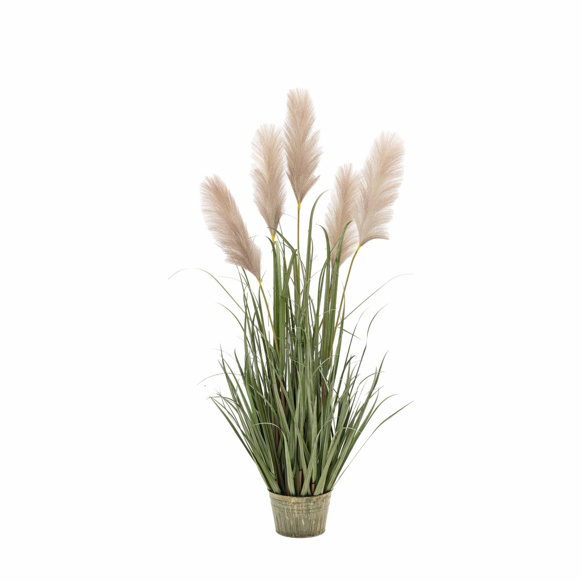 Bodhi Accessories Potted Grass with Pampas Seed Heads 5pk Medium House of Isabella UK