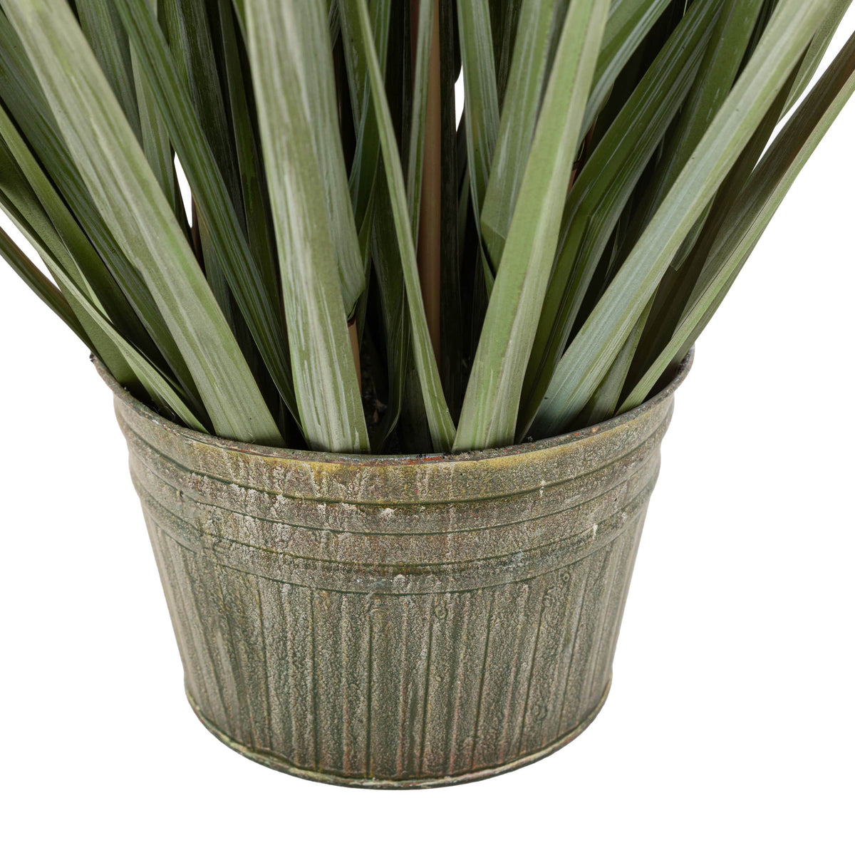 Bodhi Accessories Potted Grass with Pampas Seed Heads 5pk Medium House of Isabella UK