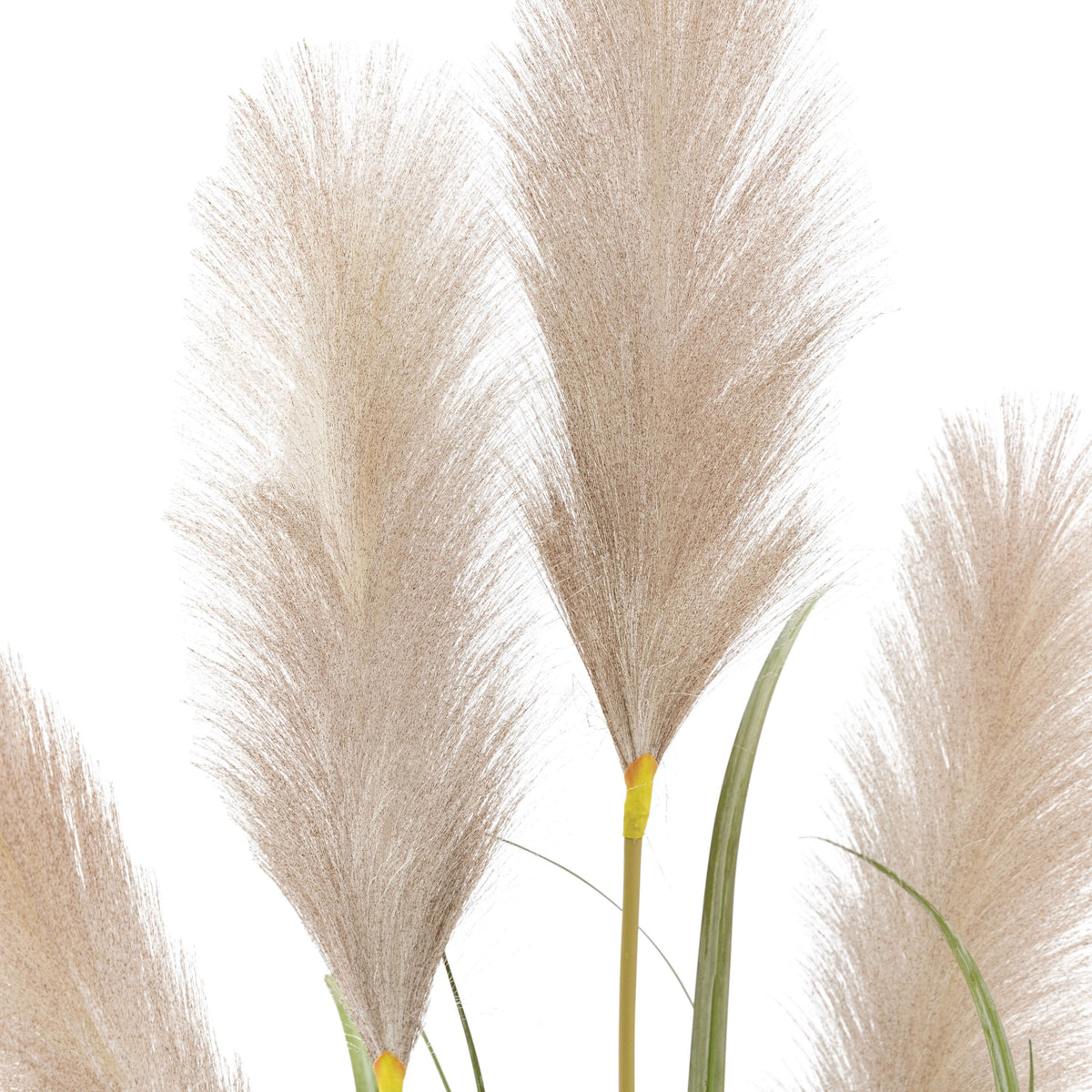 Bodhi Accessories Potted Grass with Pampas Seed Heads 5pk Medium House of Isabella UK