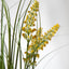 Bodhi Accessories Potted Grass with Yellow Wildflower House of Isabella UK