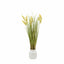 Bodhi Accessories Potted Grass with Yellow Wildflower House of Isabella UK