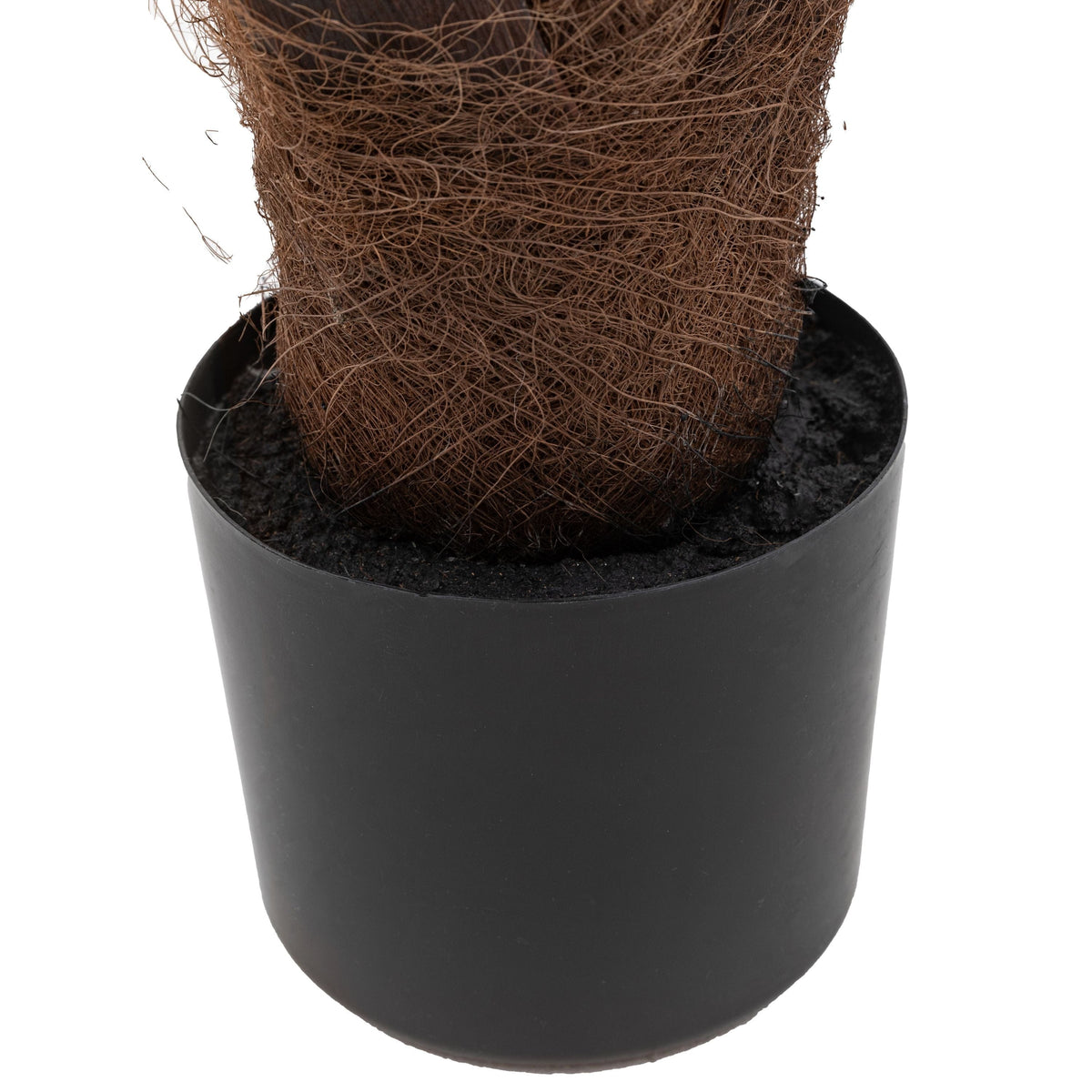 Bodhi Accessories Potted King Kentia Palm Tree Large House of Isabella UK