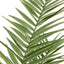 Bodhi Accessories Potted King Kentia Palm Tree Large House of Isabella UK