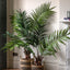 Bodhi Accessories Potted King Kentia Palm Tree Large House of Isabella UK