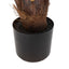 Bodhi Accessories Potted King Kentia Palm Tree Small House of Isabella UK