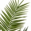 Bodhi Accessories Potted King Kentia Palm Tree Small House of Isabella UK