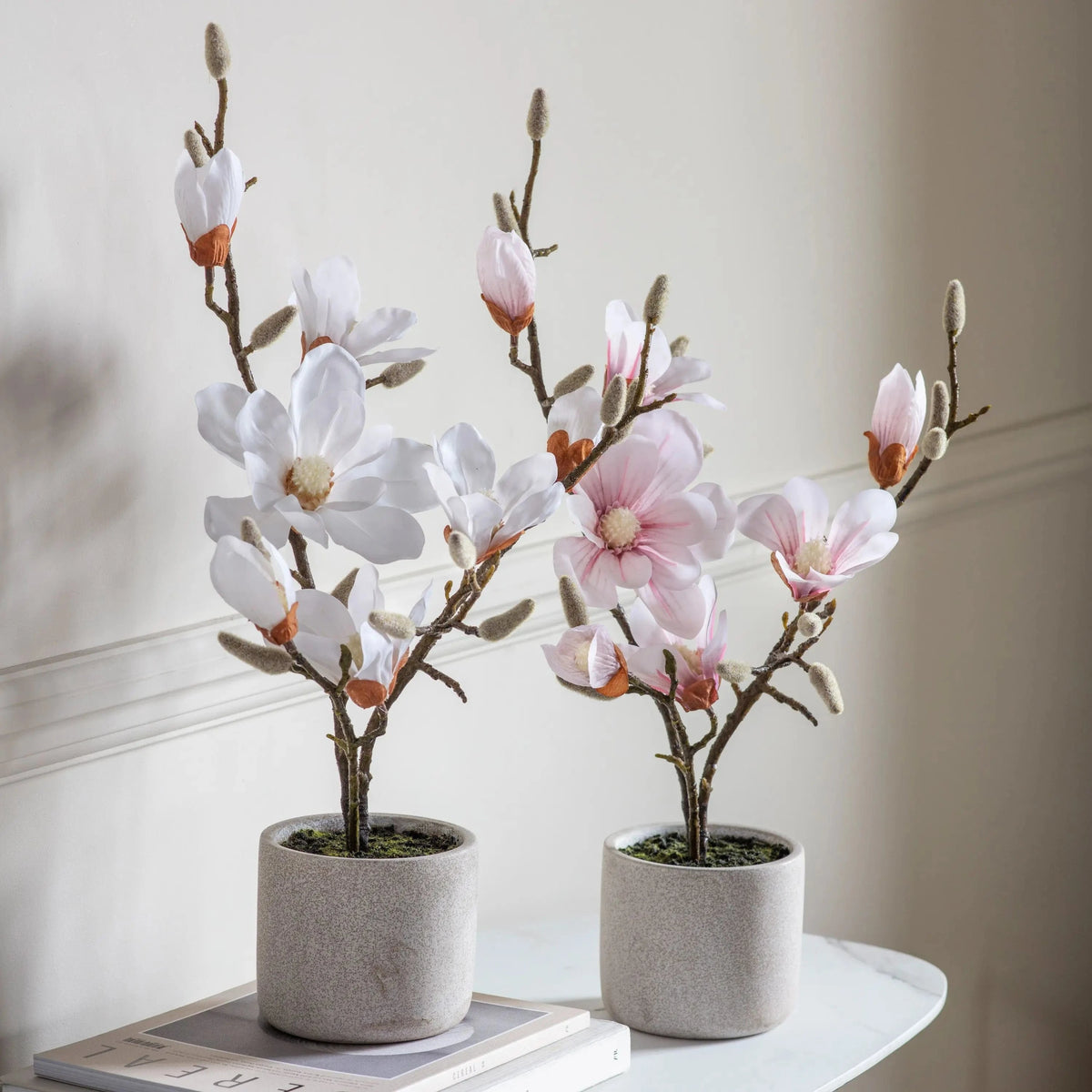 Bodhi Accessories Potted Magnolia White House of Isabella UK