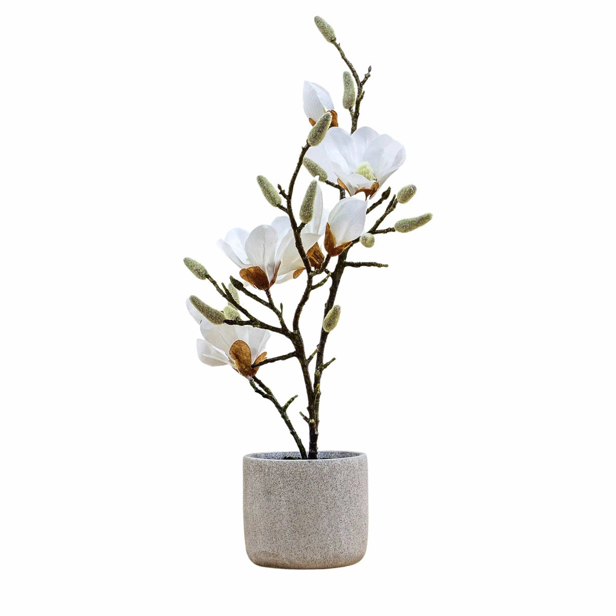 Bodhi Accessories Potted Magnolia White House of Isabella UK
