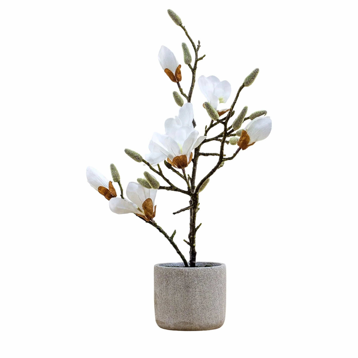 Bodhi Accessories Potted Magnolia White House of Isabella UK