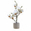 Bodhi Accessories Potted Magnolia White House of Isabella UK