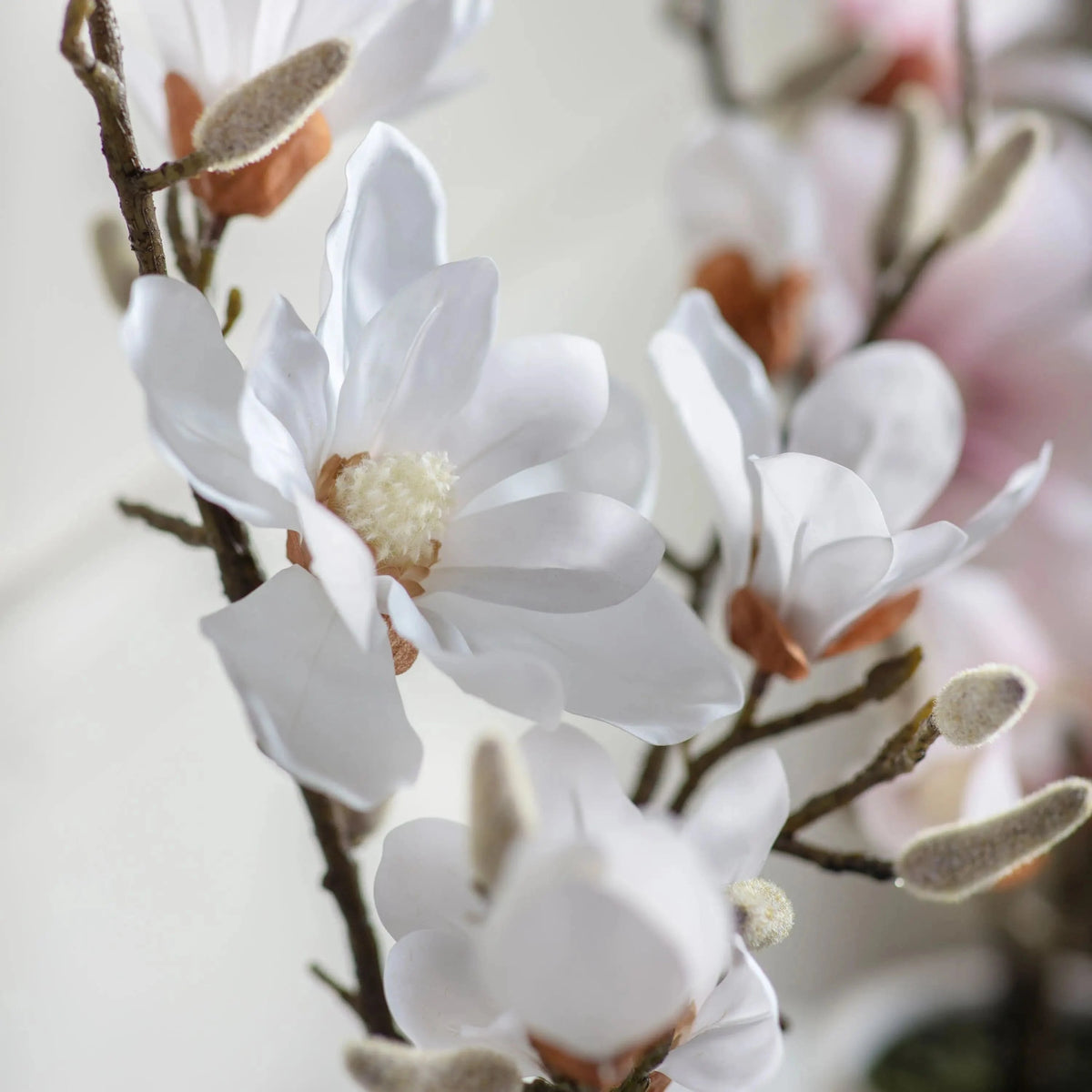 Bodhi Accessories Potted Magnolia White House of Isabella UK