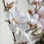 Bodhi Accessories Potted Magnolia White House of Isabella UK