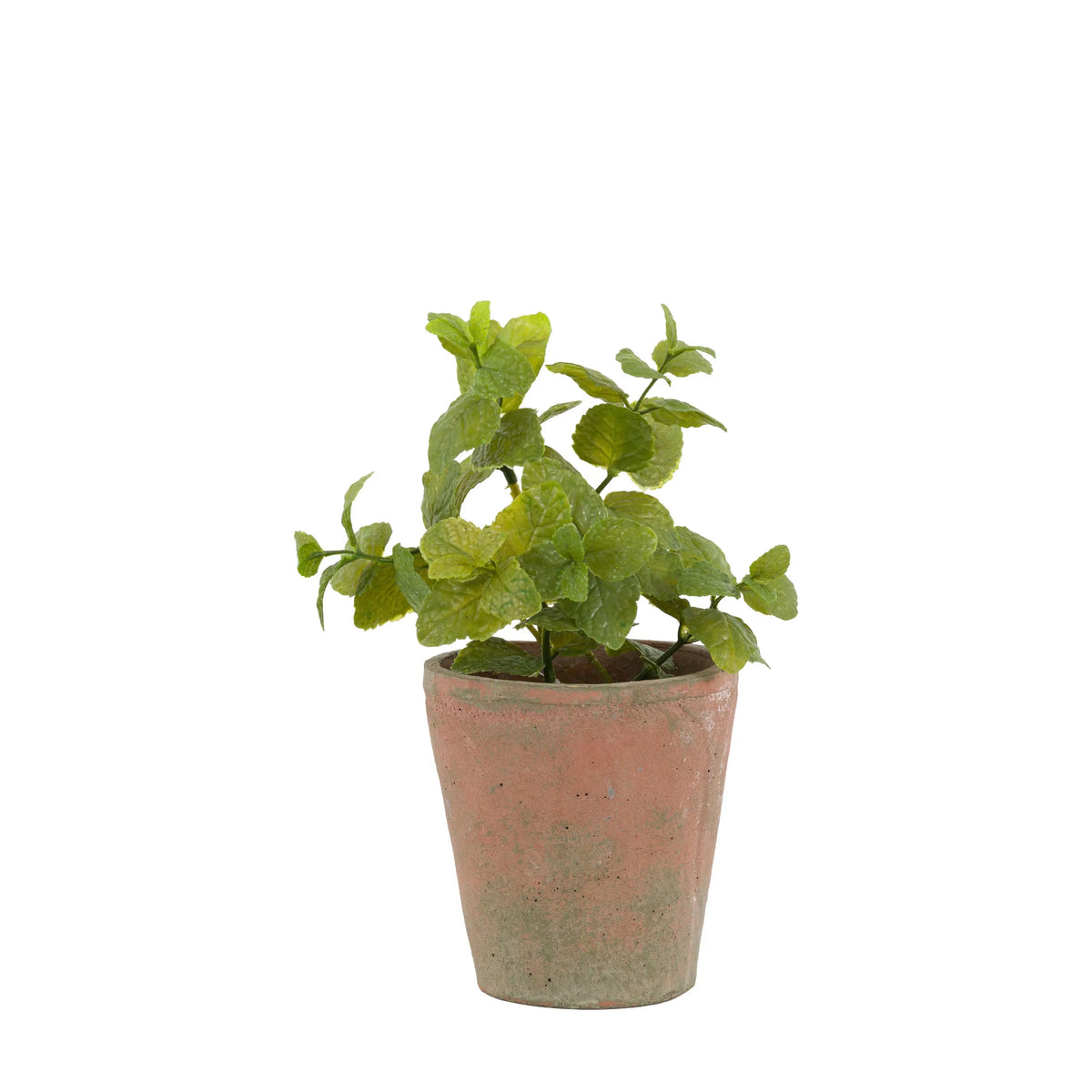Bodhi Accessories Potted Mint Terracotta House of Isabella UK