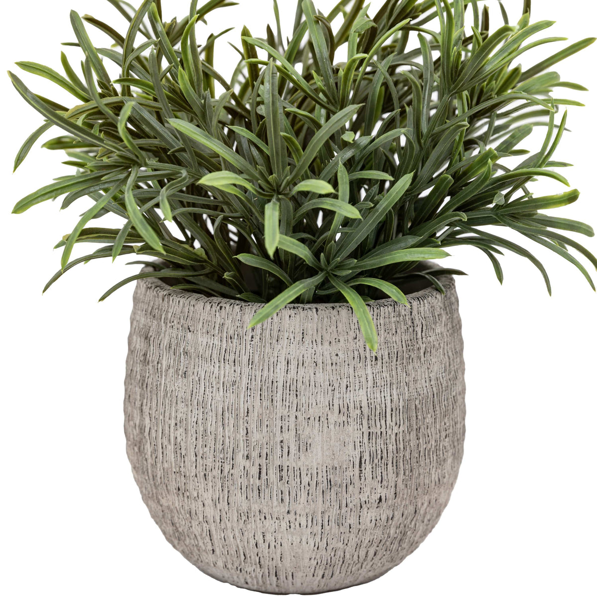 Bodhi Accessories Potted Plant Ceramic Scratch Pot Rosemary Set of 2 House of Isabella UK