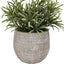 Bodhi Accessories Potted Plant Ceramic Scratch Pot Rosemary Set of 2 House of Isabella UK