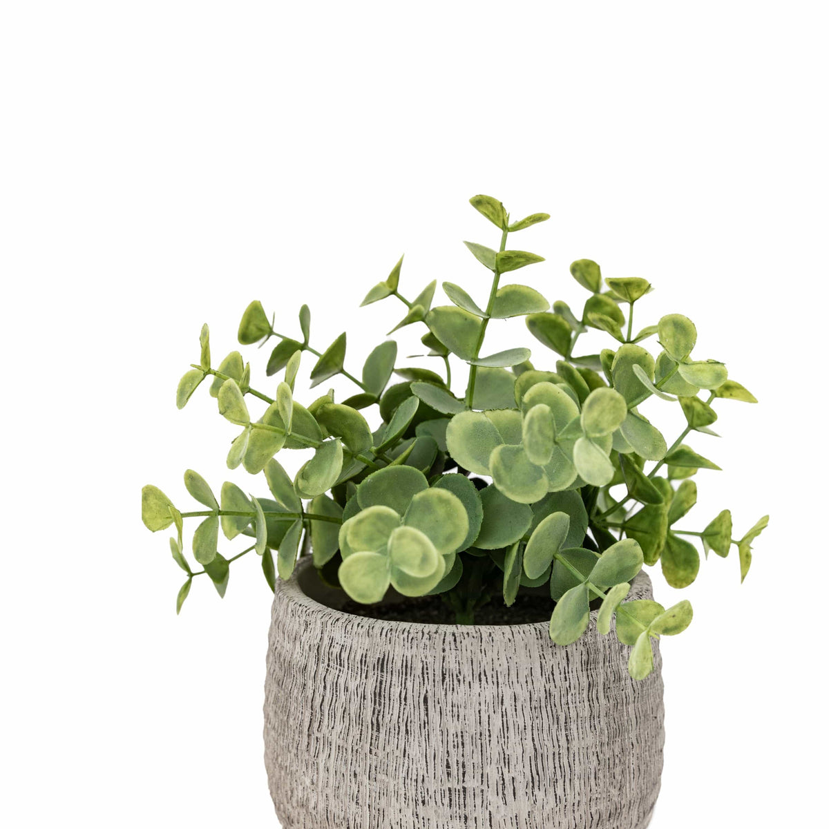 Bodhi Accessories Potted Plant Ceramic Scratch Pots Sage Set of 2 House of Isabella UK