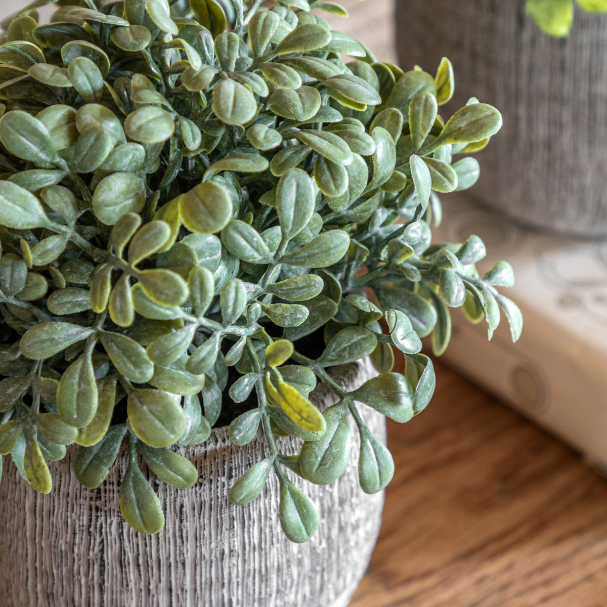 Bodhi Accessories Potted Plant Ceramic Scratch Pots Sage Set of 2 House of Isabella UK