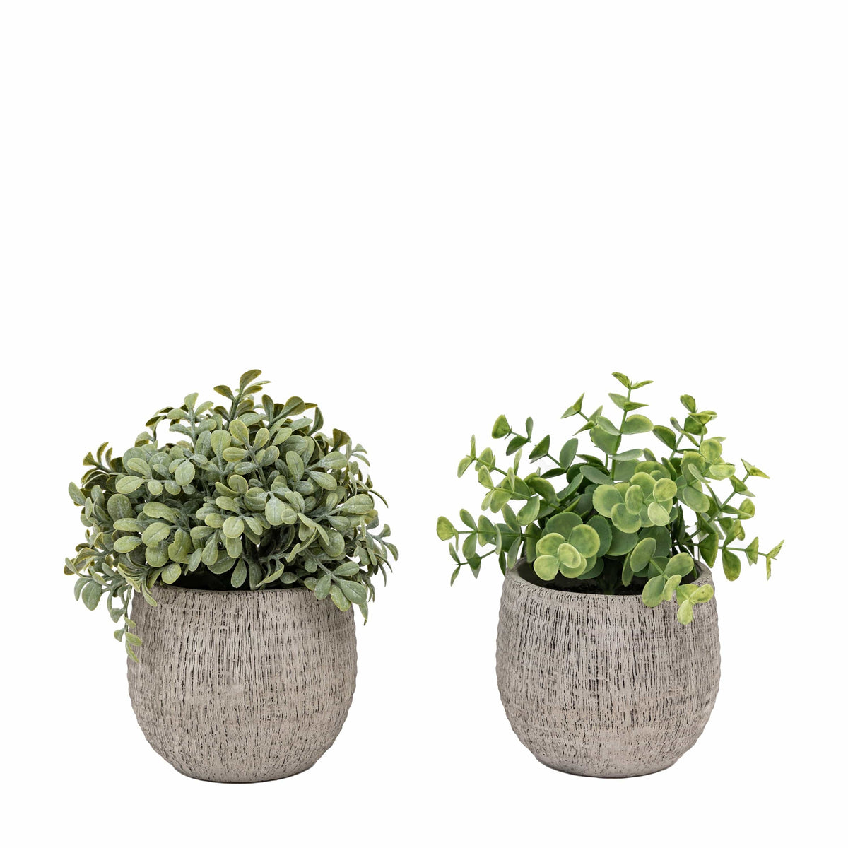 Bodhi Accessories Potted Plant Ceramic Scratch Pots Sage Set of 2 House of Isabella UK