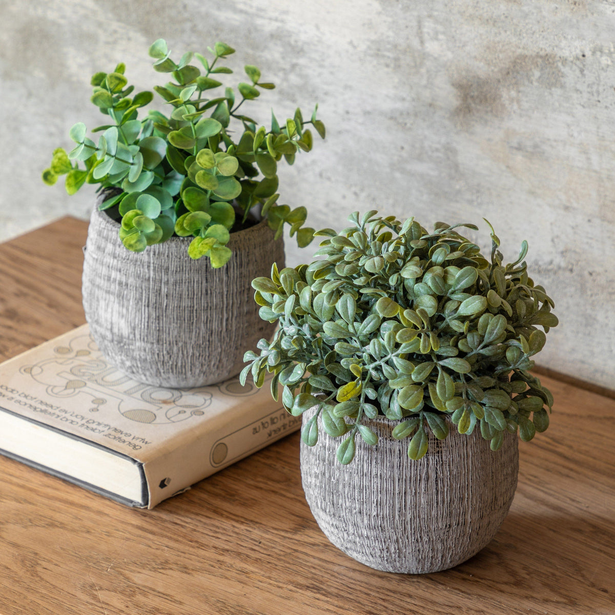 Bodhi Accessories Potted Plant Ceramic Scratch Pots Sage Set of 2 House of Isabella UK