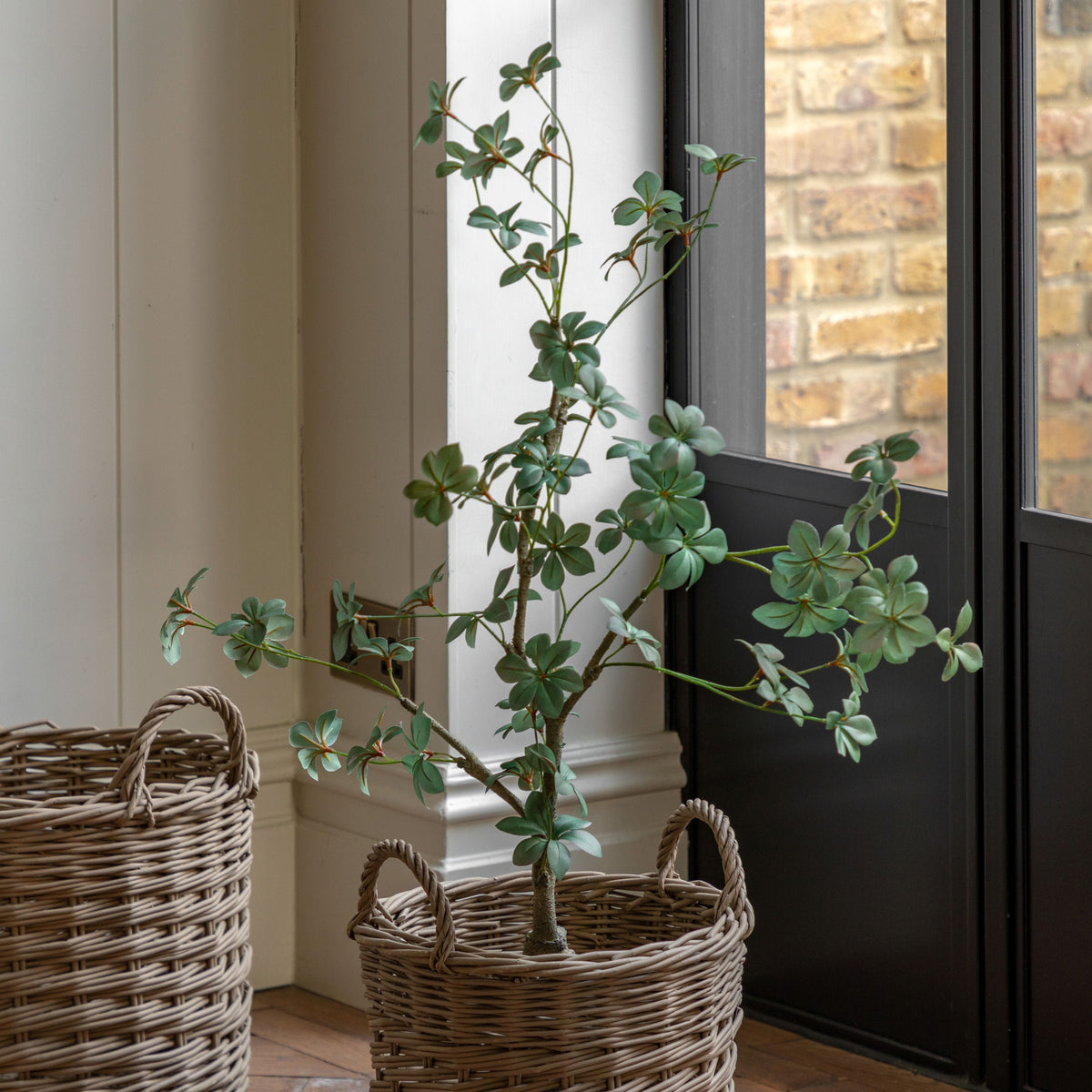 Bodhi Accessories Potted Rhodoleia 3ft Tree House of Isabella UK