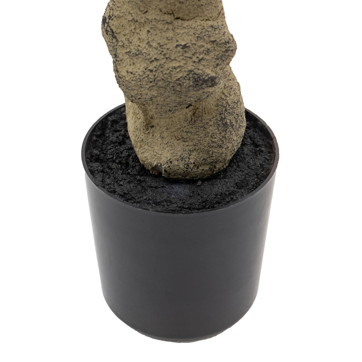 Bodhi Accessories Potted Rhodoleia 3ft Tree House of Isabella UK