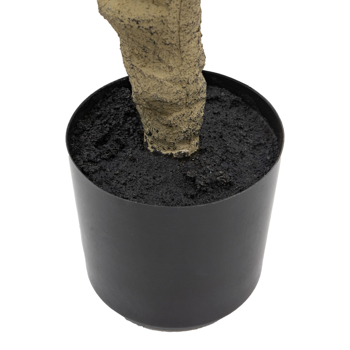 Bodhi Accessories Potted Rhodoleia 5ft Tree House of Isabella UK