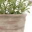 Bodhi Accessories Potted Rustic Lilac Lavendar House of Isabella UK