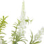 Bodhi Accessories Potted Rustic White Lavendar House of Isabella UK