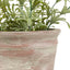 Bodhi Accessories Potted Rustic White Lavendar House of Isabella UK