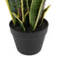 Bodhi Accessories Potted Sansevieria Plant 4ft House of Isabella UK