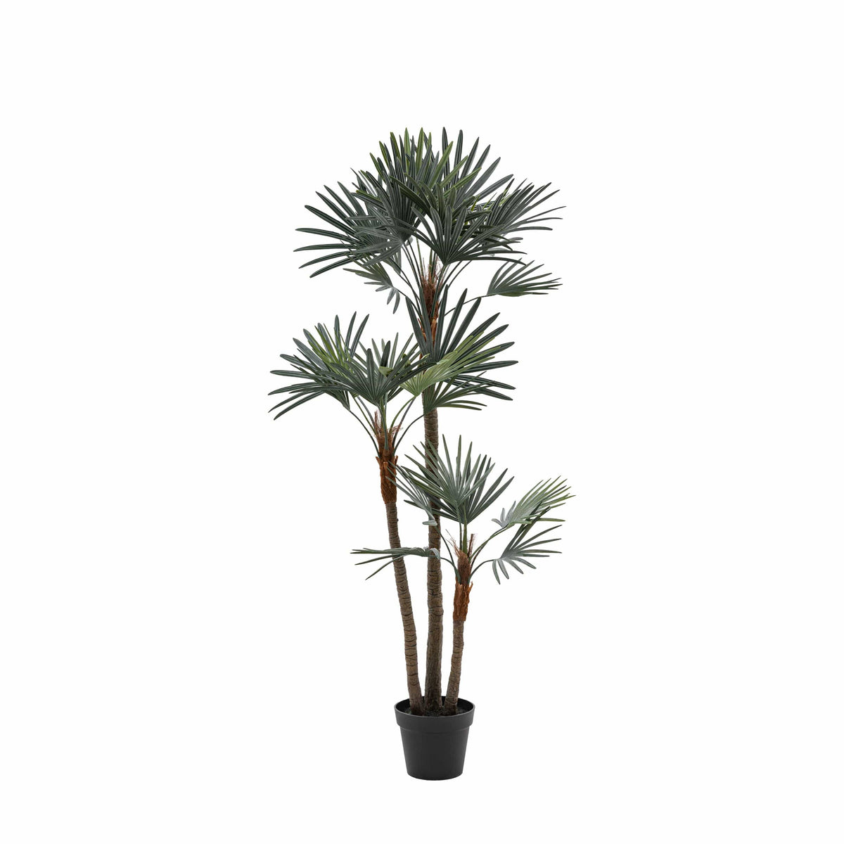 Bodhi Accessories Potted Statement Palm Large House of Isabella UK