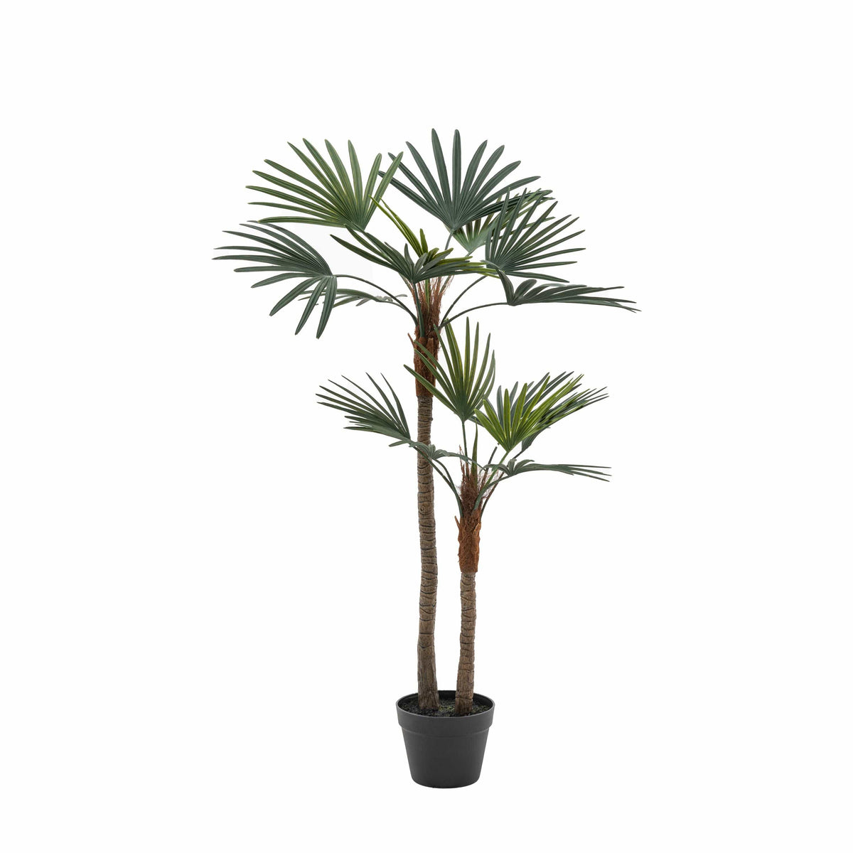 Bodhi Accessories Potted Statement Palm Small House of Isabella UK