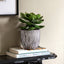 Bodhi Accessories Potted Succulent in Ribbed Black Ceramic Pot House of Isabella UK