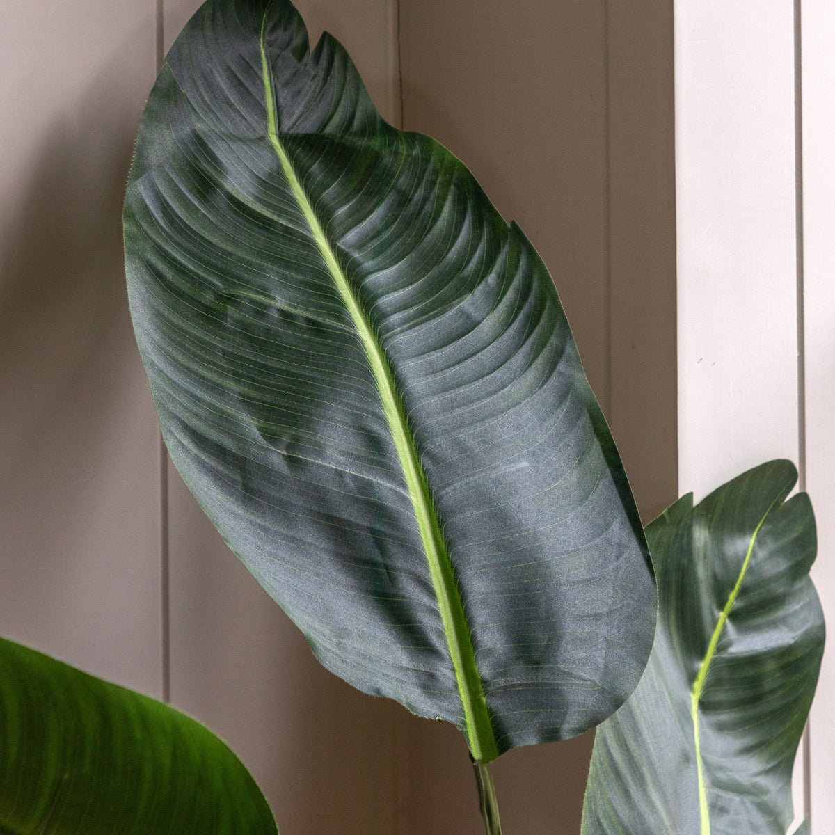 Bodhi Accessories Potted Travellers Palm Tree 5ft House of Isabella UK