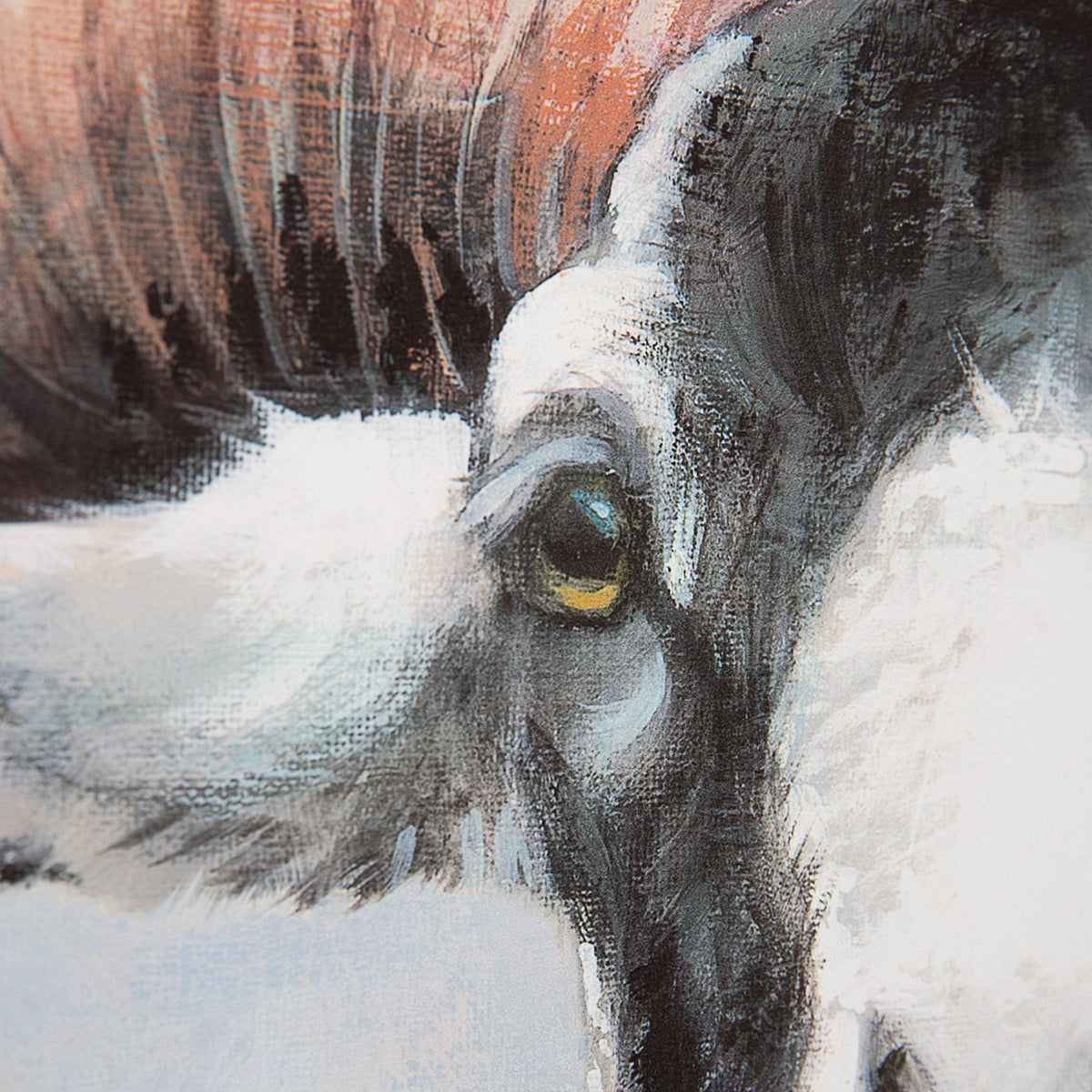 Bodhi Accessories Ralph Framed Art House of Isabella UK