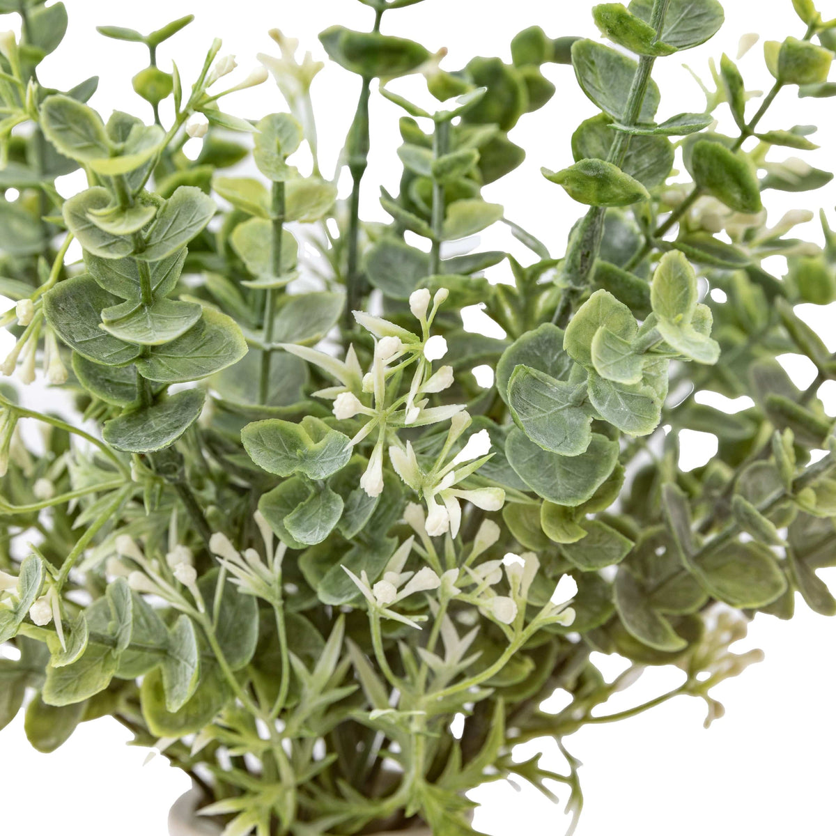 Bodhi Accessories Retro Vase with Eucalyptus House of Isabella UK