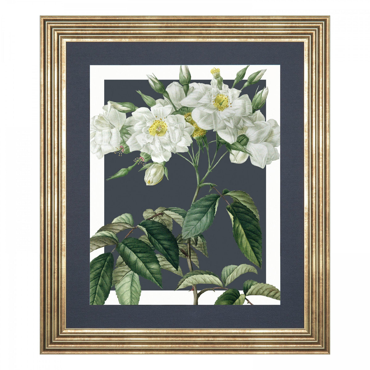 Bodhi Accessories Rosa Moschata Framed Canvas House of Isabella UK