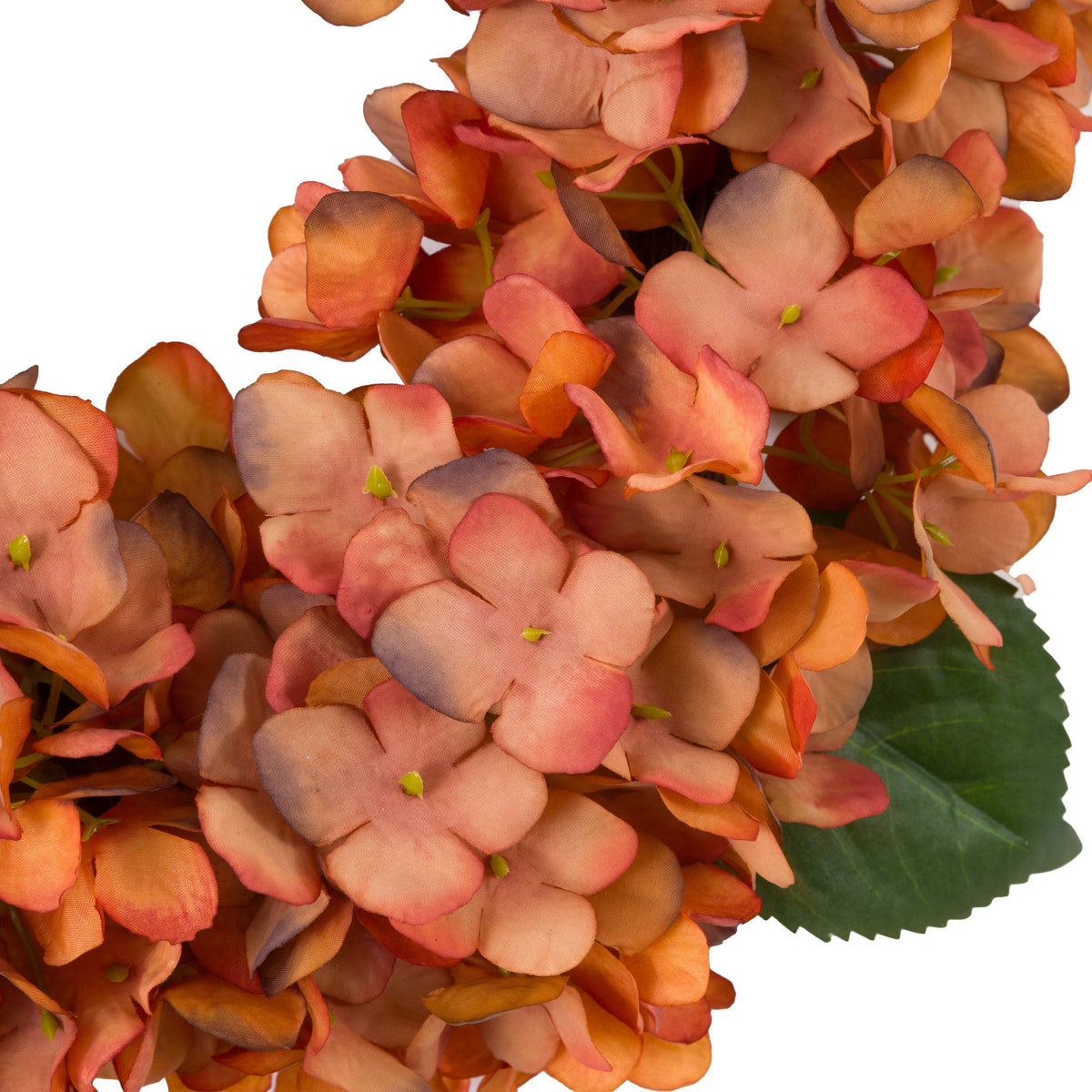 Bodhi Accessories Rust Hydrangea Wreath House of Isabella UK