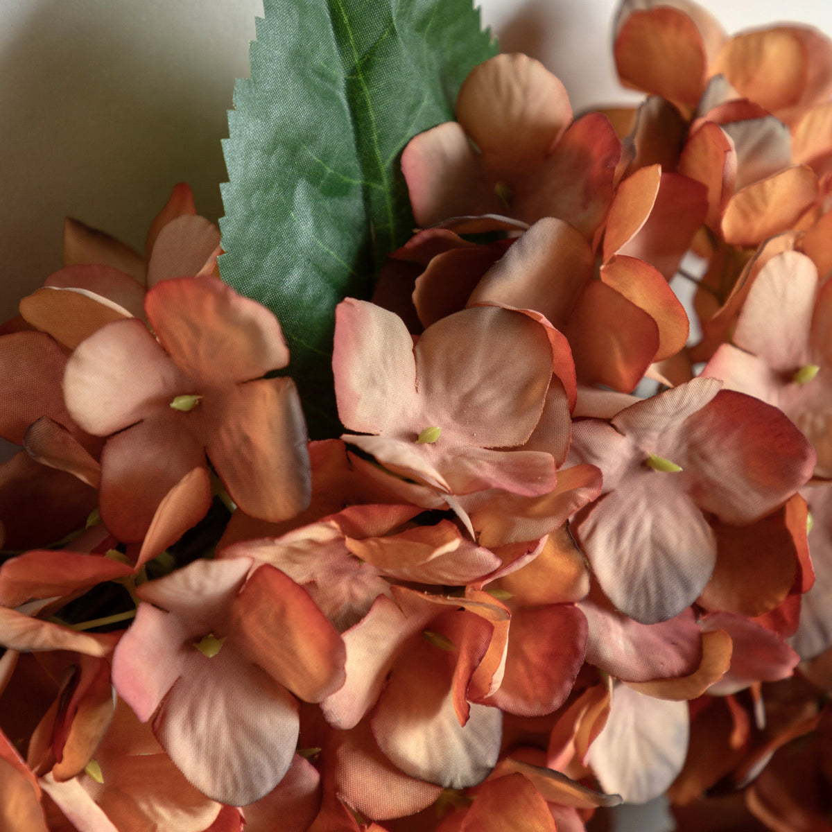 Bodhi Accessories Rust Hydrangea Wreath House of Isabella UK