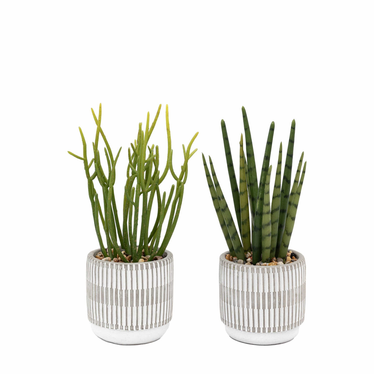 Bodhi Accessories Small Succulents Ceramic Pots Set of 2 House of Isabella UK