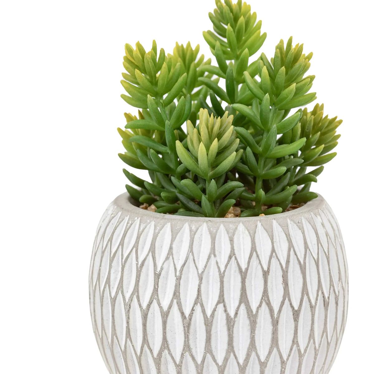 Bodhi Accessories Small Succulents Ceramic Pots Set of 3 House of Isabella UK