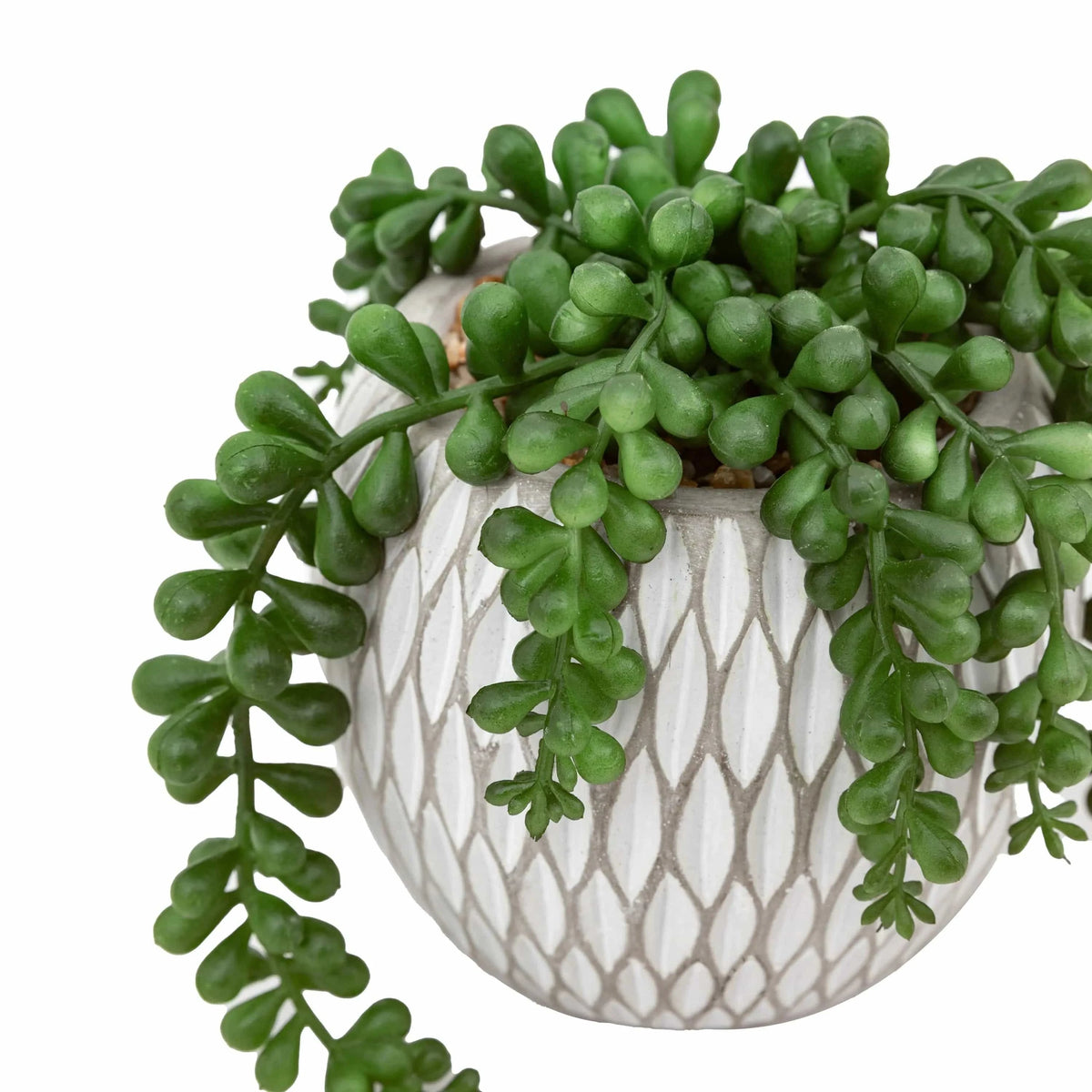 Bodhi Accessories Small Succulents Ceramic Pots Set of 3 House of Isabella UK