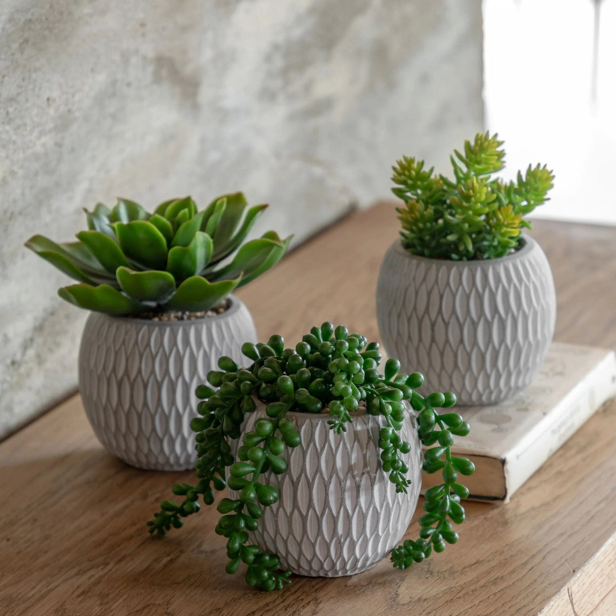 Bodhi Accessories Small Succulents Ceramic Pots Set of 3 House of Isabella UK