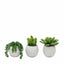 Bodhi Accessories Small Succulents Ceramic Pots Set of 3 House of Isabella UK