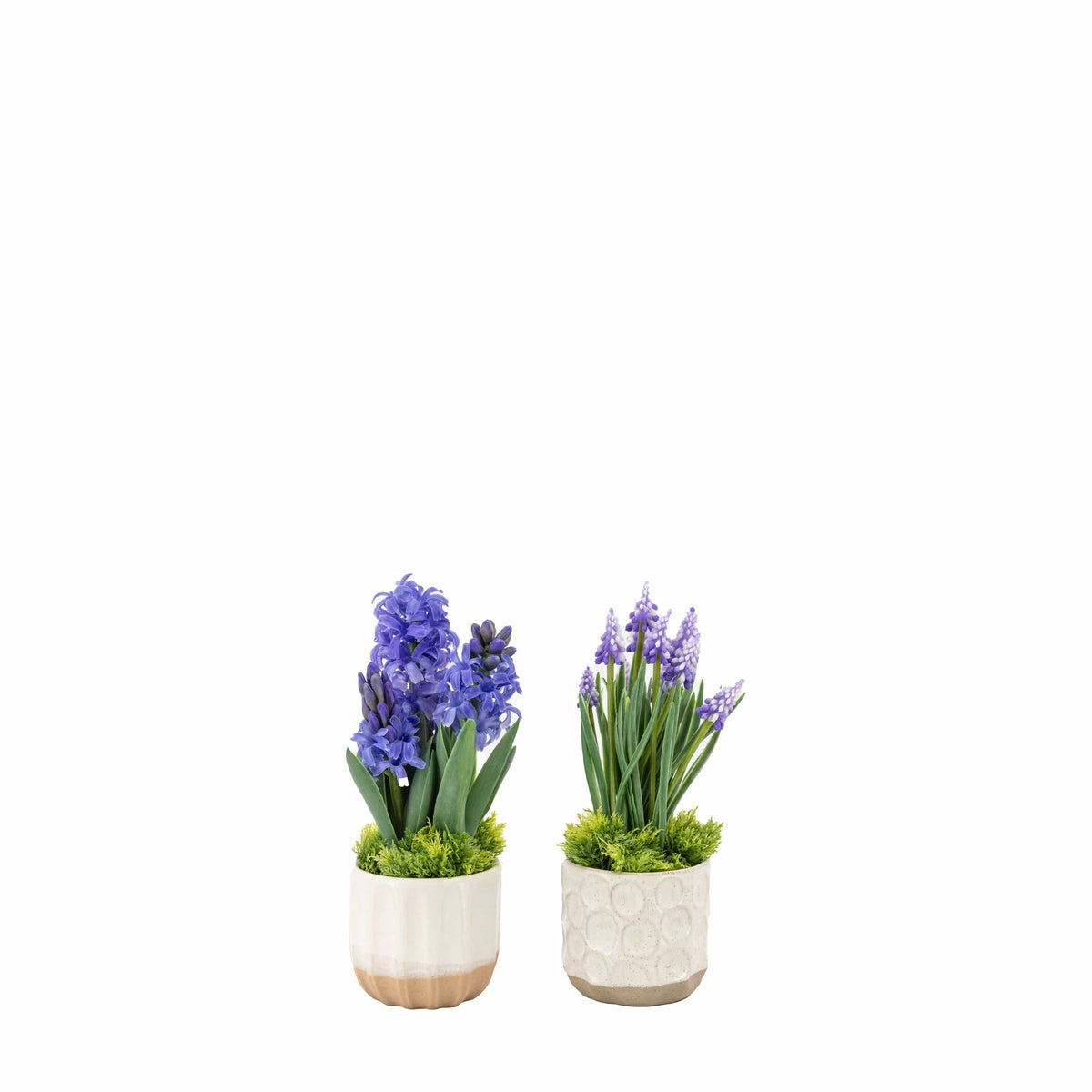 Bodhi Accessories Spring Hydrangea Purple in Ceramic Pots Set of 2 House of Isabella UK