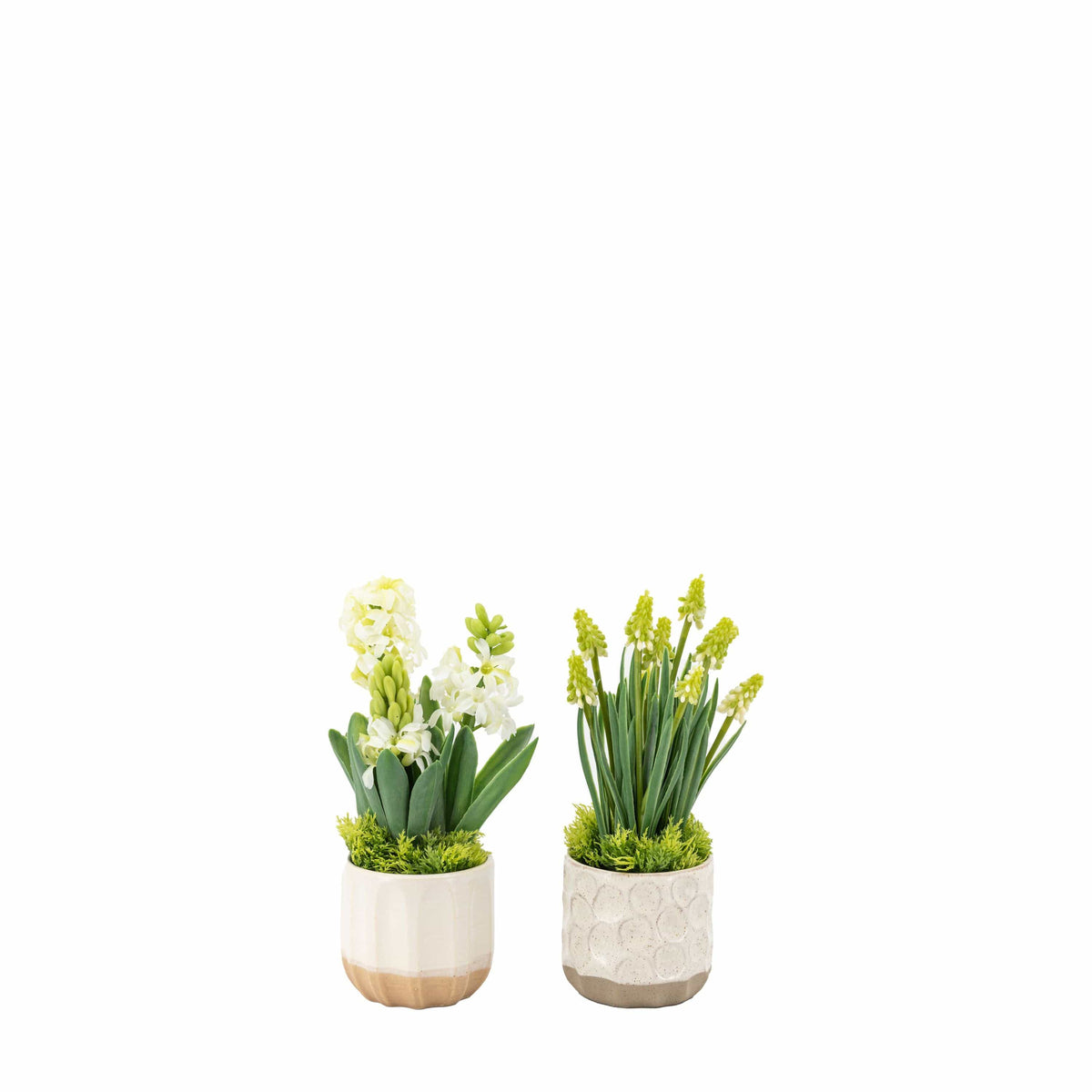 Bodhi Accessories Spring Hydrangea White in Ceramic Pots Set of 2 House of Isabella UK