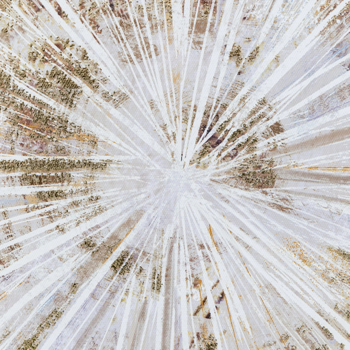 Bodhi Accessories Starburst Flair Framed Canvas House of Isabella UK