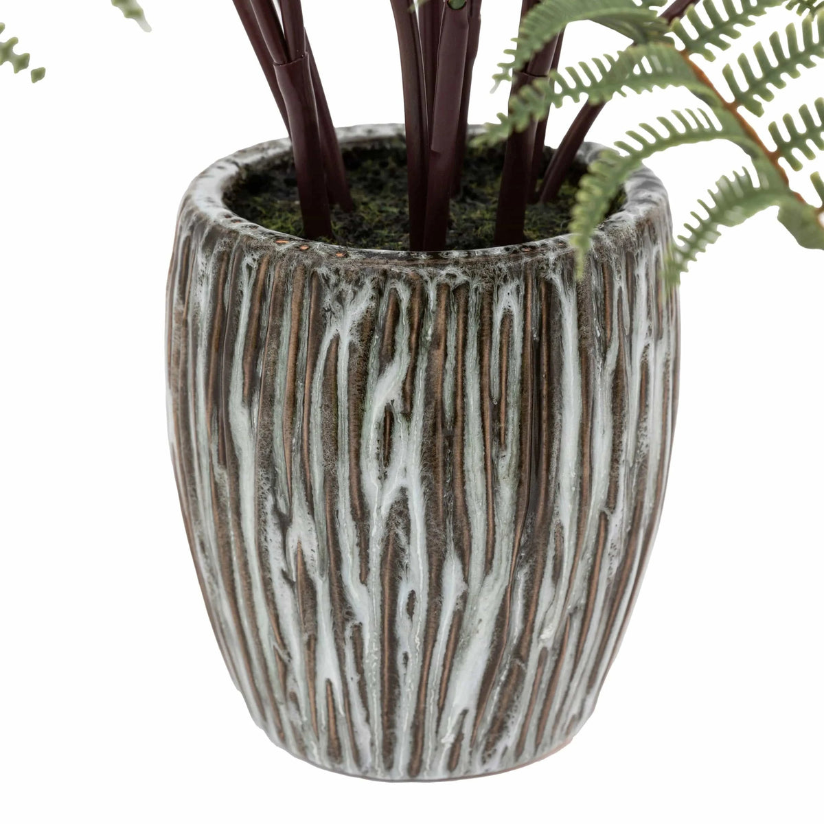 Bodhi Accessories Tall Fern in Textured Grey Ceramic Pot House of Isabella UK