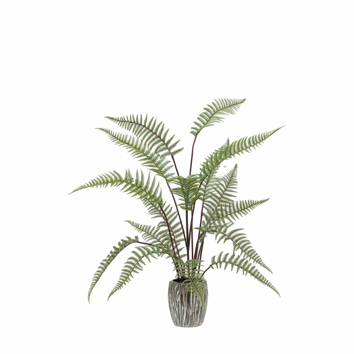 Bodhi Accessories Tall Fern in Textured Grey Ceramic Pot House of Isabella UK