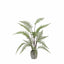 Bodhi Accessories Tall Fern in Textured Grey Ceramic Pot House of Isabella UK